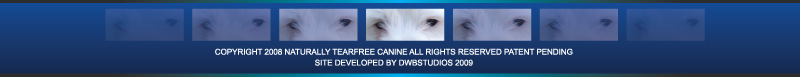 Remove Dog Tear Stains Organically